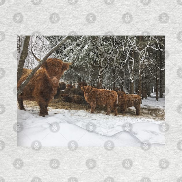 Scottish Highland Cattle Cows and Calves 1871 by SaarelaHighland